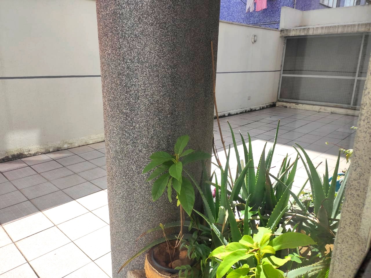 Apartamento Curitiba - Juvevê — foto 14